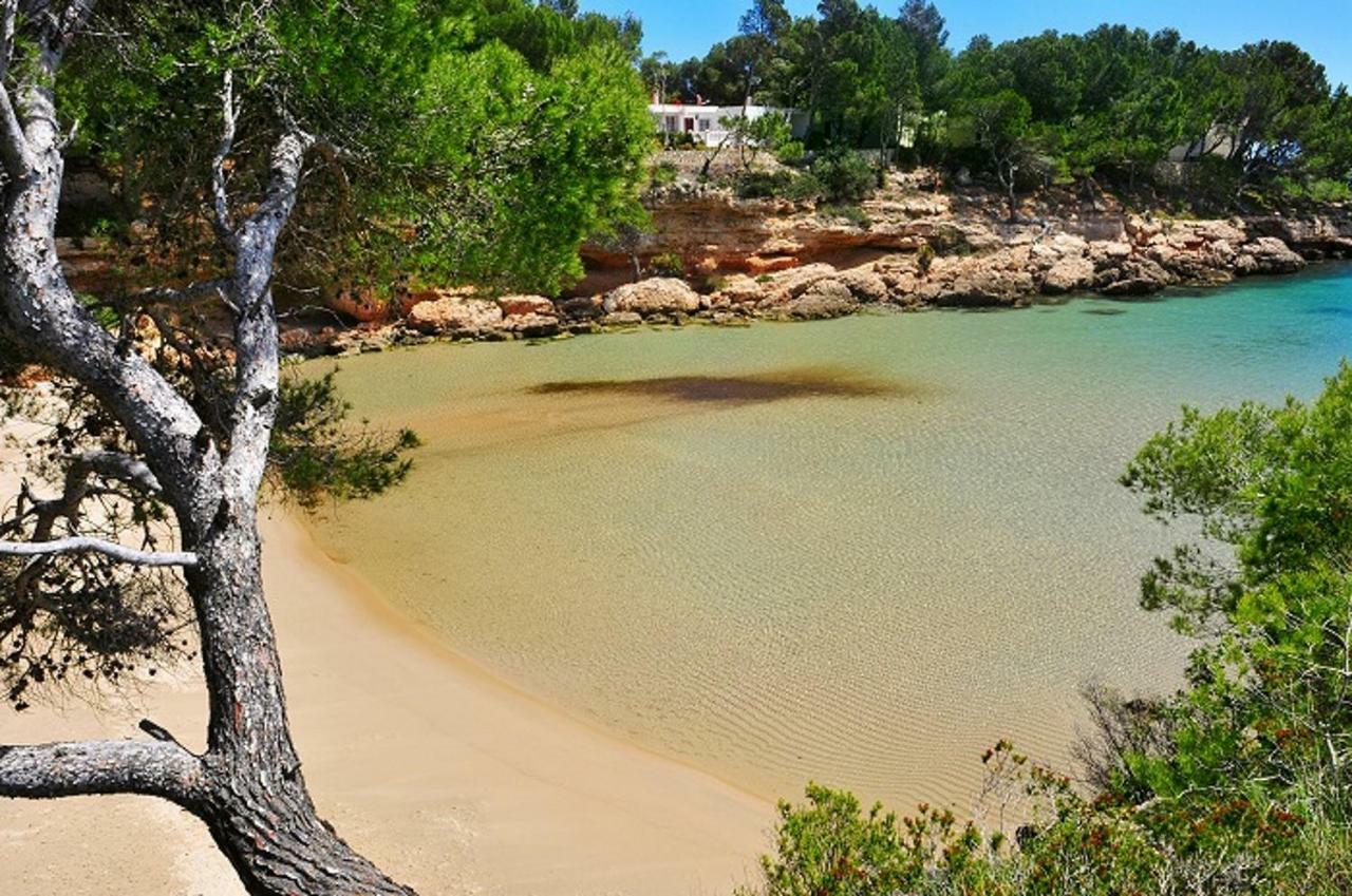 Willa Casa Alegria Calafat Zewnętrze zdjęcie